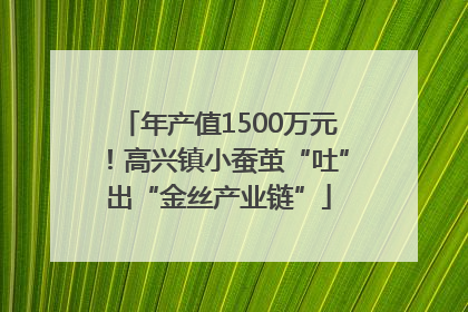 年产值1500万元！高兴镇小蚕茧“吐”出“金丝产业链”