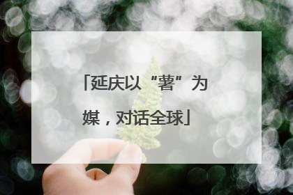延庆以“薯”为媒，对话全球