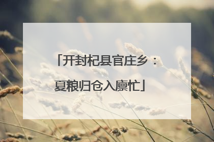 开封杞县官庄乡：夏粮归仓入廪忙