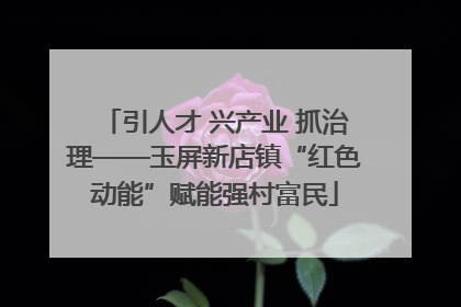 引人才 兴产业 抓治理——玉屏新店镇“红色动能”赋能强村富民