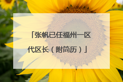张帆已任福州一区代区长（附简历）