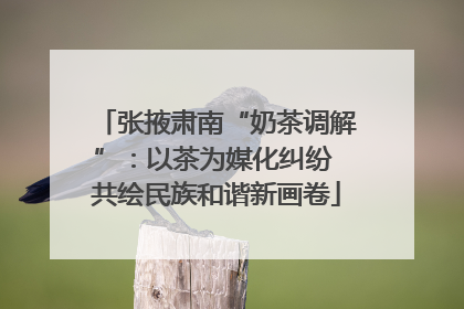 张掖肃南“奶茶调解”：以茶为媒化纠纷 共绘民族和谐新画卷