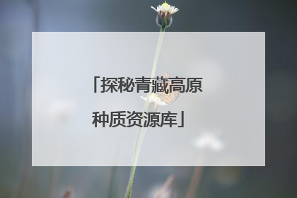 探秘青藏高原种质资源库