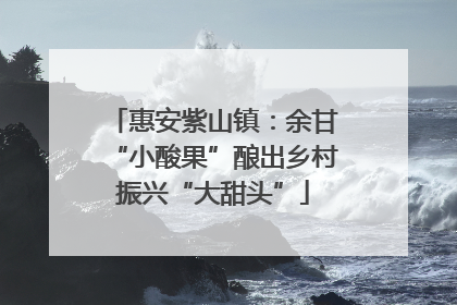 惠安紫山镇：余甘“小酸果”酿出乡村振兴“大甜头”