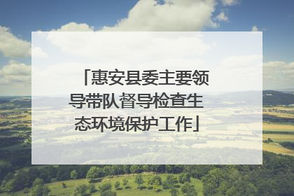 惠安县委主要领导带队督导检查生态环境保护工作