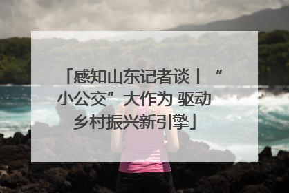 感知山东记者谈丨“小公交”大作为 驱动乡村振兴新引擎