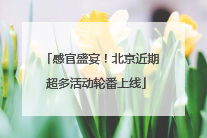 感官盛宴！北京近期超多活动轮番上线