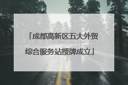 成都高新区五大外贸综合服务站授牌成立