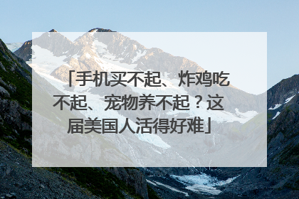 手机买不起、炸鸡吃不起、宠物养不起？这届美国人活得好难