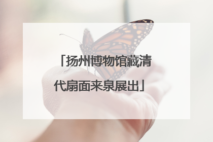扬州博物馆藏清代扇面来泉展出