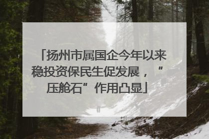 扬州市属国企今年以来稳投资保民生促发展，“压舱石”作用凸显