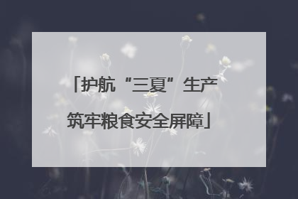 护航“三夏”生产 筑牢粮食安全屏障