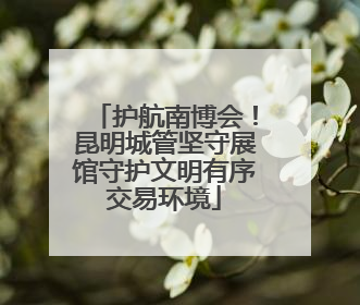 护航南博会！昆明城管坚守展馆守护文明有序交易环境