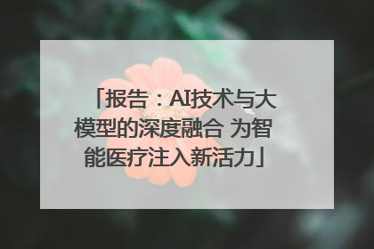 报告：AI技术与大模型的深度融合 为智能医疗注入新活力
