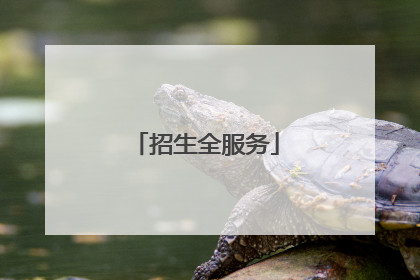 招生全服务