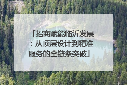 招商赋能临沂发展：从顶层设计到精准服务的全链条突破