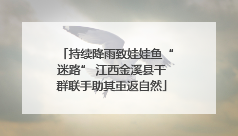 持续降雨致娃娃鱼“迷路” 江西金溪县干群联手助其重返自然