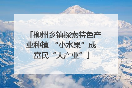 柳州乡镇探索特色产业种植 “小水果”成富民“大产业”
