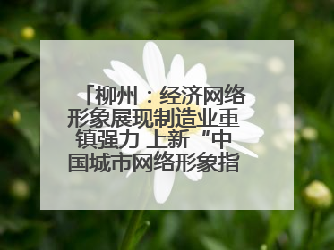 柳州：经济网络形象展现制造业重镇强力 上新“中国城市网络形象指数”报告