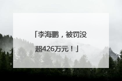 李海鹏，被罚没超426万元！