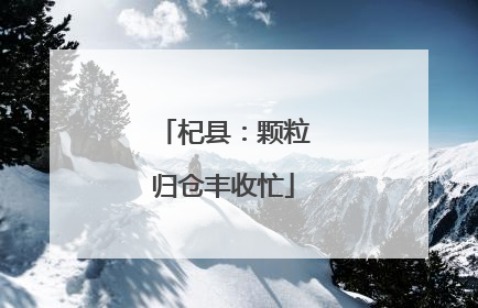 杞县：颗粒归仓丰收忙