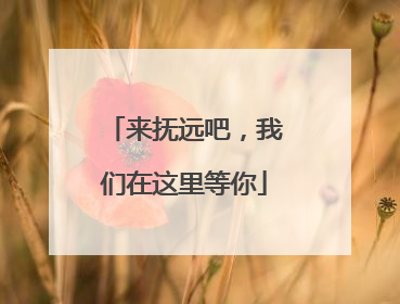 来抚远吧，我们在这里等你