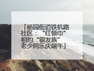 杨园街道铁机路社区：“红领巾”相约“银发族” 老少同乐庆端午