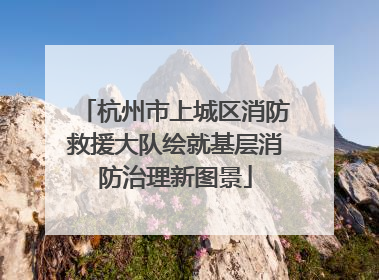 杭州市上城区消防救援大队绘就基层消防治理新图景