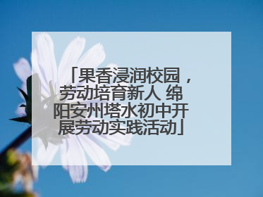 果香浸润校园，劳动培育新人 绵阳安州塔水初中开展劳动实践活动