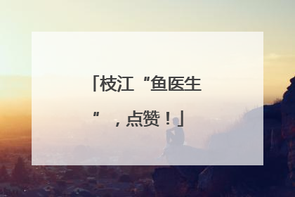 枝江“鱼医生”，点赞！