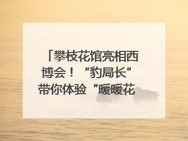 攀枝花馆亮相西博会！“豹局长”带你体验“暖暖花城”独特魅力｜西博视界