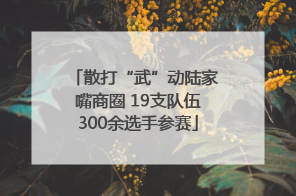 散打“武”动陆家嘴商圈 19支队伍300余选手参赛