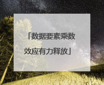 数据要素乘数效应有力释放