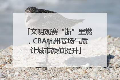 文明观赛“浙”里燃，CBA杭州赛场气质让城市颜值提升