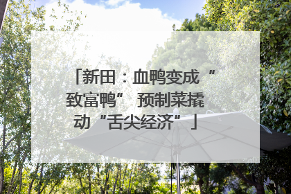 新田：血鸭变成“致富鸭” 预制菜撬动“舌尖经济”