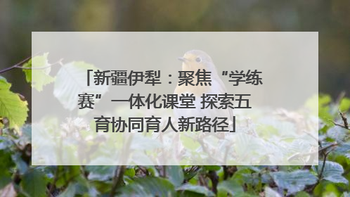 新疆伊犁：聚焦“学练赛”一体化课堂 探索五育协同育人新路径