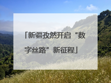 新疆孜然开启“数字丝路”新征程