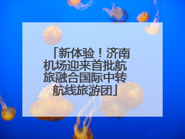 新体验！济南机场迎来首批航旅融合国际中转航线旅游团
