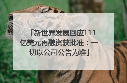 新世界发展回应111亿美元再融资获批准：一切以公司公告为准