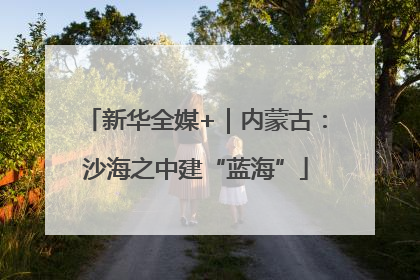 新华全媒+｜内蒙古：沙海之中建“蓝海”