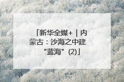 新华全媒+｜内蒙古：沙海之中建“蓝海”(2)