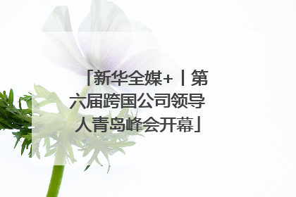 新华全媒+丨第六届跨国公司领导人青岛峰会开幕