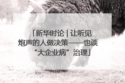 新华时论 | 让听见炮声的人做决策——也谈“大企业病”治理