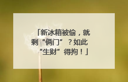 新冰箱被偷，就剩“俩门”？如此“生财”得拘！