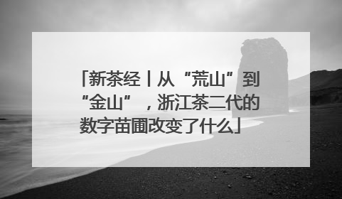 新茶经丨从“荒山”到“金山”，浙江茶二代的数字苗圃改变了什么