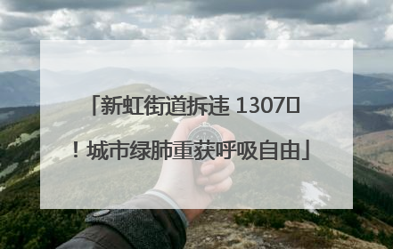 新虹街道拆违 1307㎡！城市绿肺重获呼吸自由