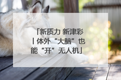 新质力 新津彩丨体外“大脑”也能“开”无人机