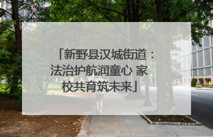 新野县汉城街道：法治护航润童心 家校共育筑未来