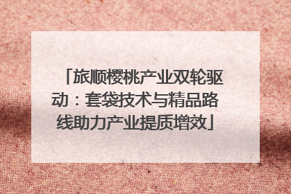 旅顺樱桃产业双轮驱动：套袋技术与精品路线助力产业提质增效