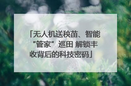 无人机送秧苗、智能“管家”巡田 解锁丰收背后的科技密码